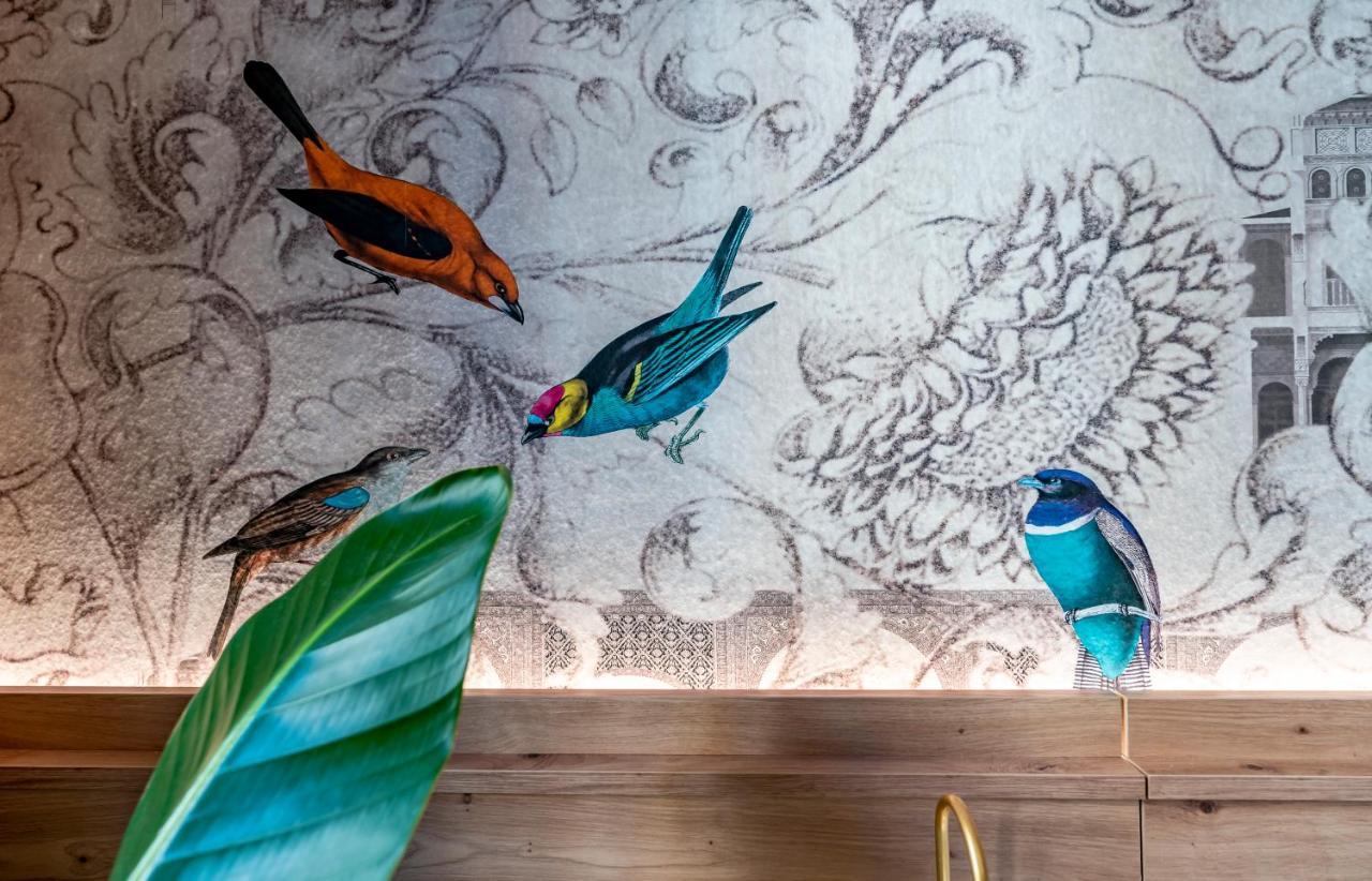 Terra Artis Guest House Флоренція Екстер'єр фото